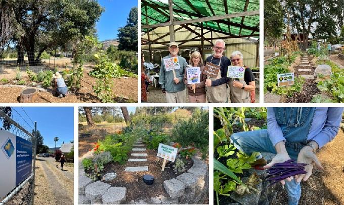 Los Guilicos volunteers at work. Photos by Sonoma County Master Gardeners.