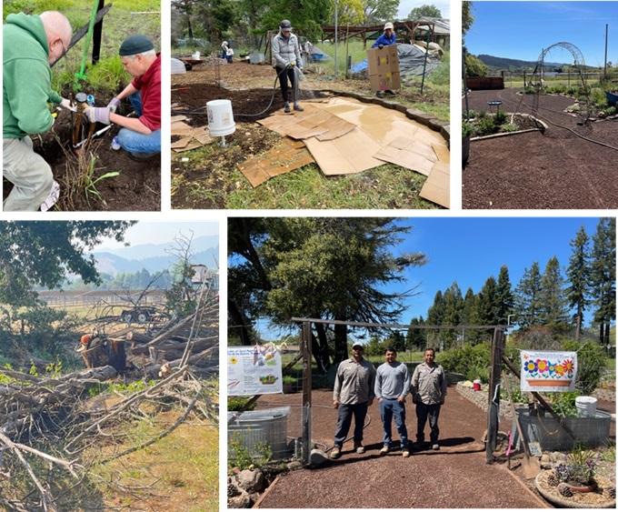 Photos by Sonoma County Master Gardeners.