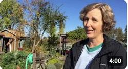 UC Master Gardeners of Sonoma County on YouTube