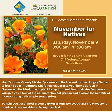 California native plant tour and educational event by UC Master Gardeners of Sonoma County at Harvest for the Hungry Garden