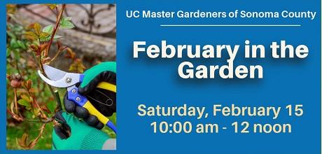 Free garden workshop for February tasks by UC Master Gardeners of Sonoma County in Petaluma Feb 15th