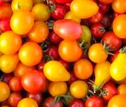 mixed cherry tomatoes
