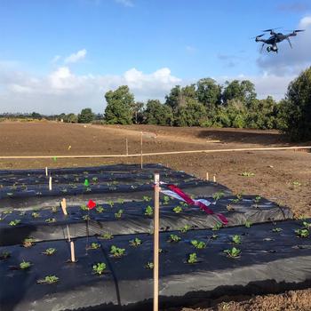 Drone over research plot