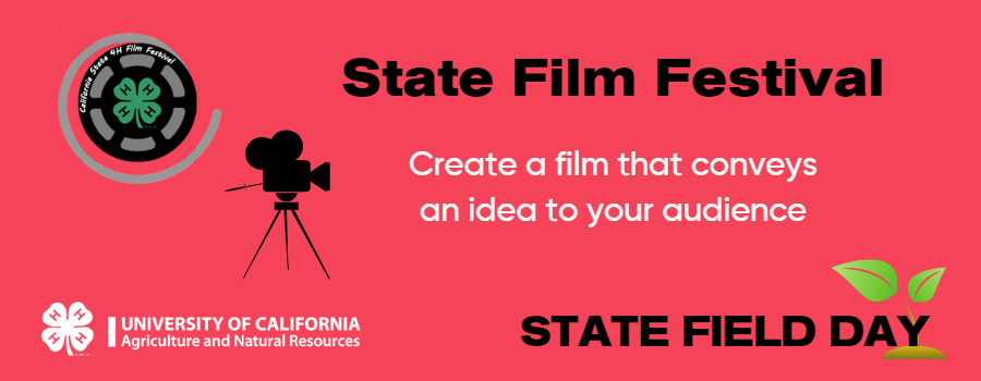 State Film Festival website banner
