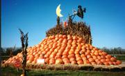 A pyramid pumpkin takes center stage at Rombach Farms.