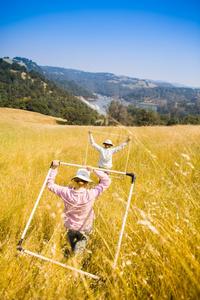 Researchers sampling vegetation in the Campbell pastures near lake Englebright