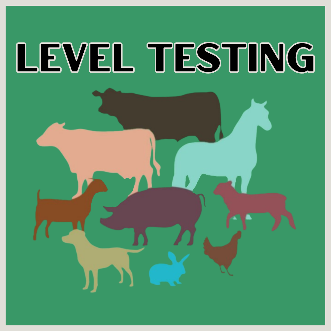 Level Testing Button