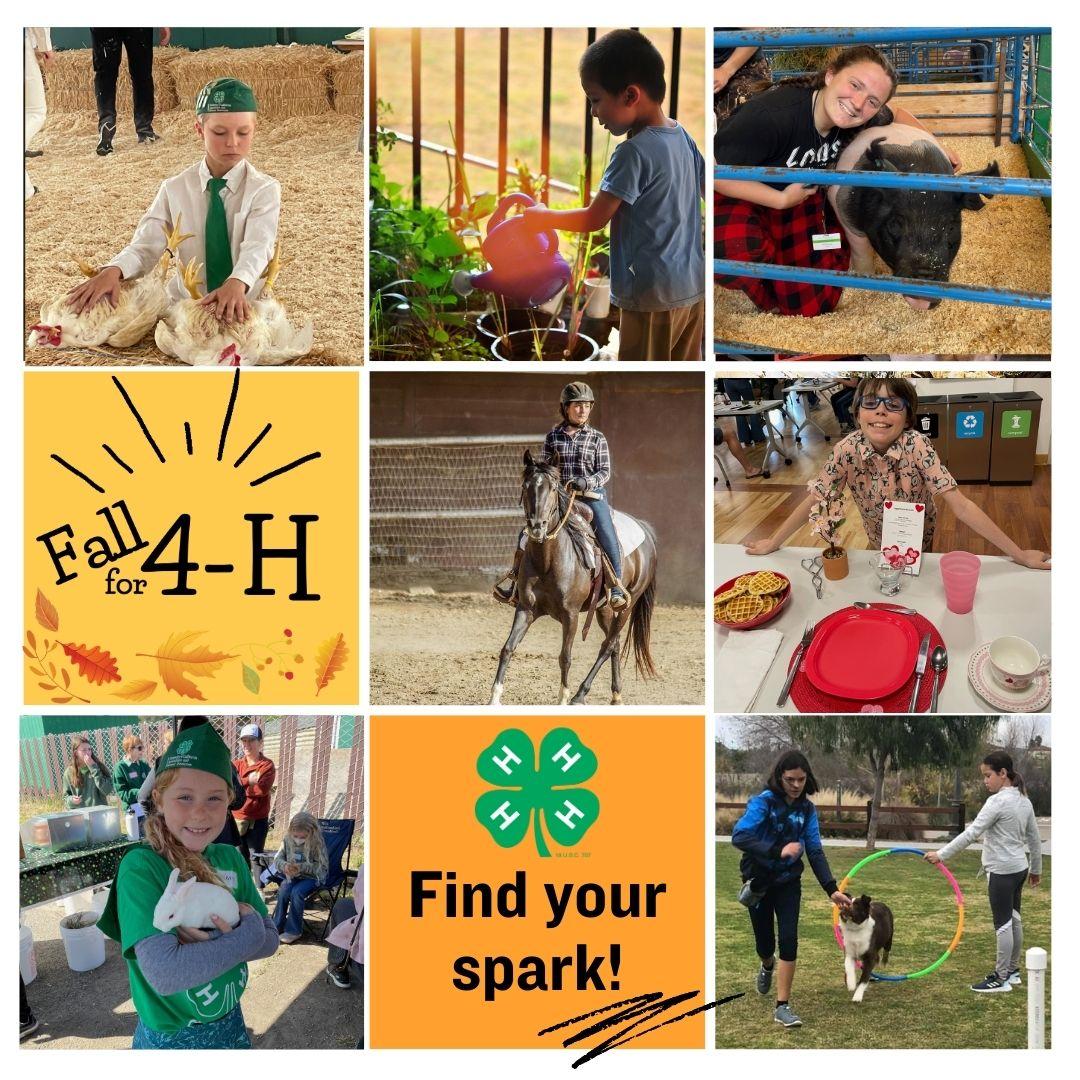 SMC Fall for 4-H-Find Your Spark