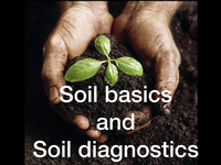 Soil Basics & diagnosis