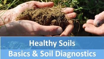 Healthy soils: Basics & Diagnostics