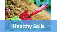healthy soils