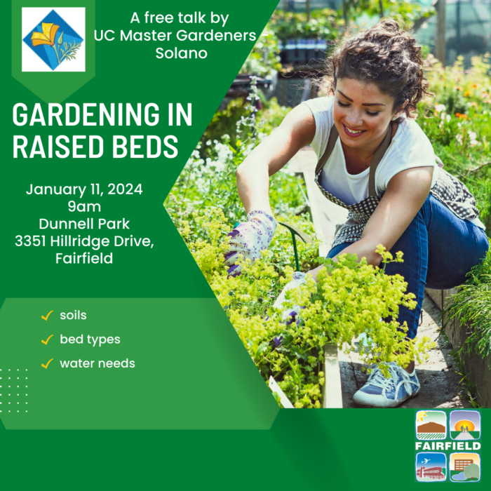 gardening in raised beds