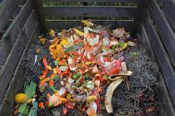 Veg scraps in compost bin pixabay