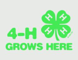 4H Grows Here jpg logo medium