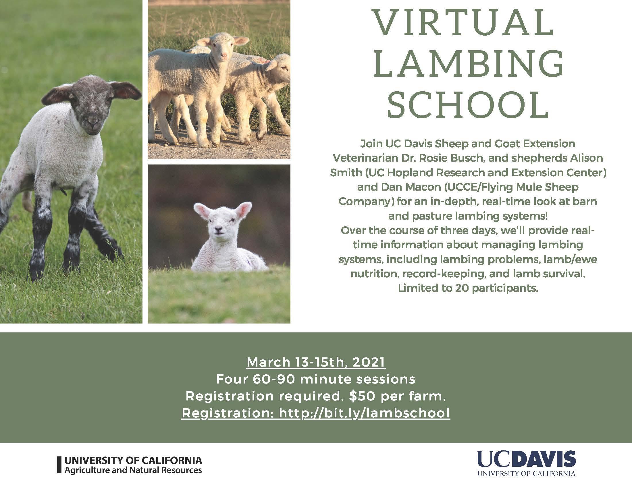 2021_Lambing School Flyer