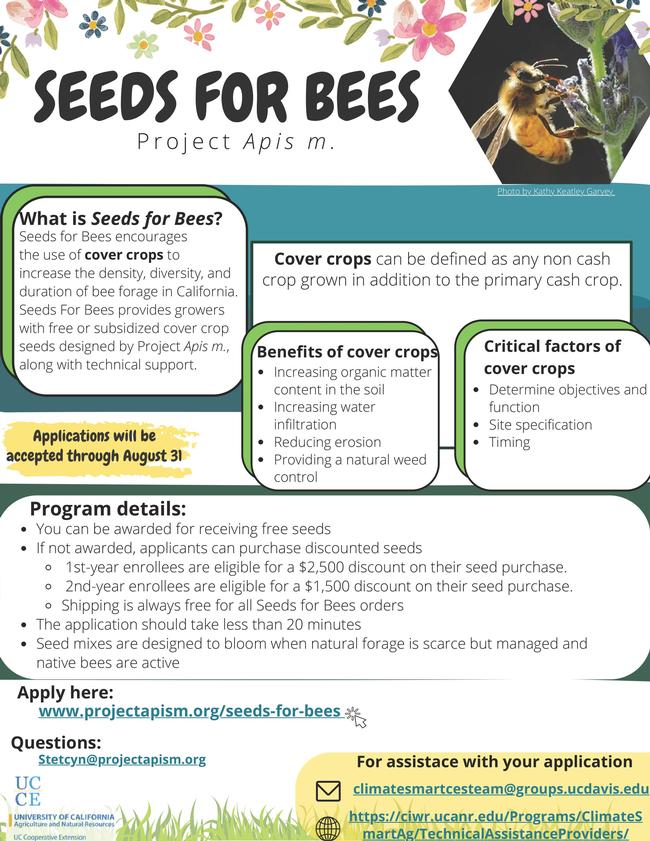 Seeds for Bees Flyer