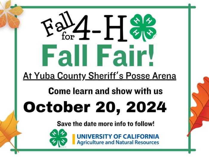 Fall Fair 2024