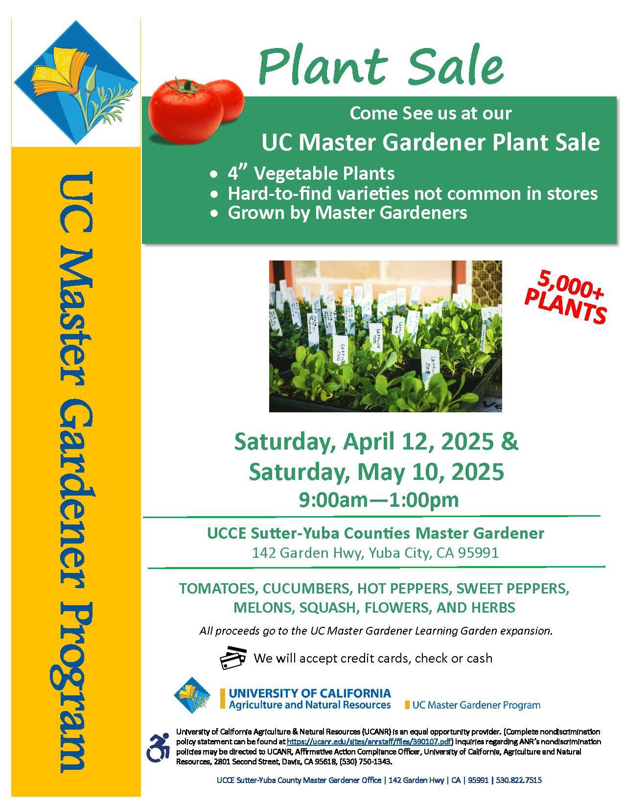 Tomato Plant Sale Flyer 2024