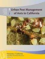 Urban Pest Management of Ants publication