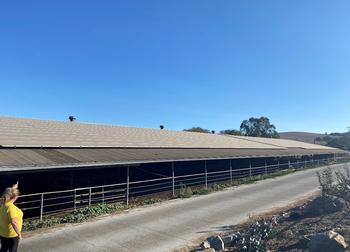 Recently installed solar panels on a Marin Dairy, Tomales, 2019