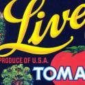 Live Oak Tomatoes