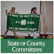 Help shape 4-H in California!