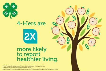 Healthier Living Impact