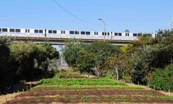 urban ag farm