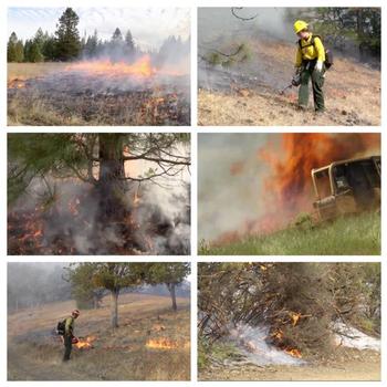 fireman fighting fires