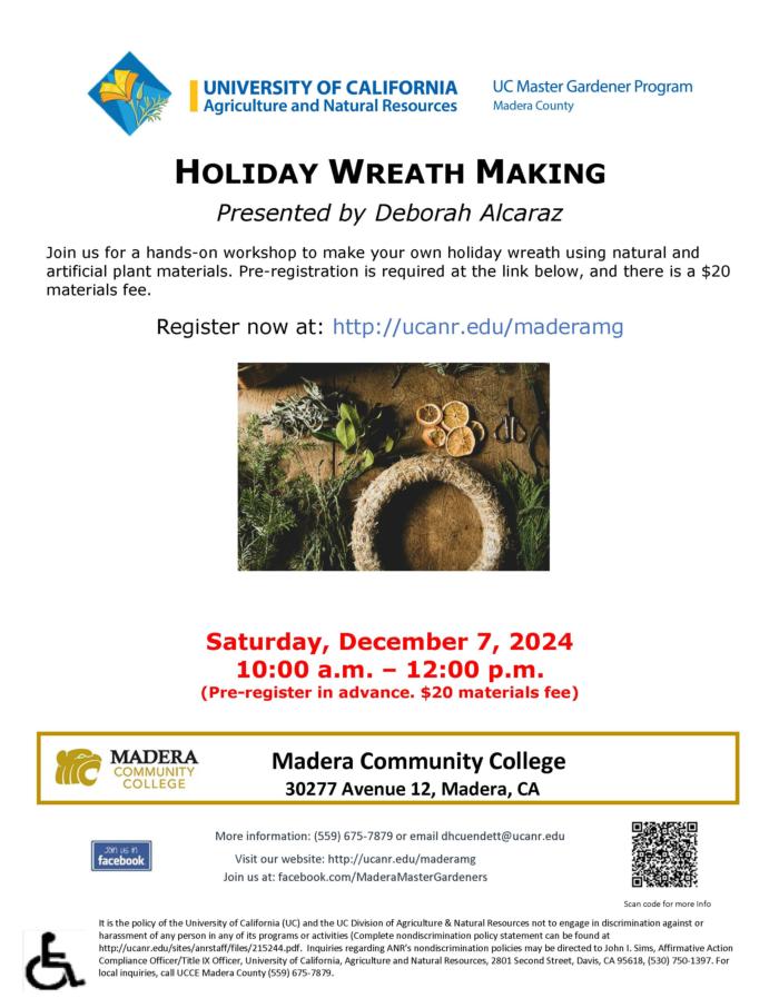 12.7.24 Holiday Wreath Making photo