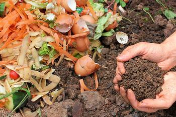 compost in garden