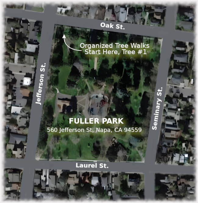 Fuller Park Tree Walks Location