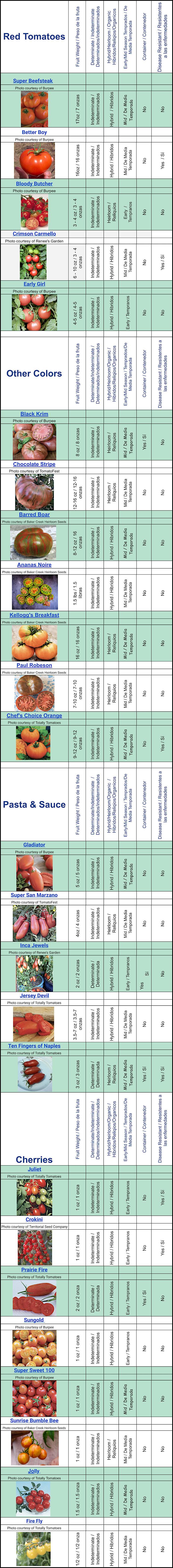 Draft of 2024 Tomato Varieties List