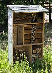 The Insect Hotel