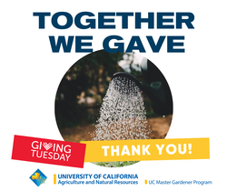 Giving Day 2023- Thank you!