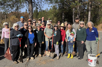 Daffodil Planting 2025