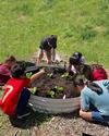 05 - May 2025 - Children - planting - enhanced2 [carol holliman]