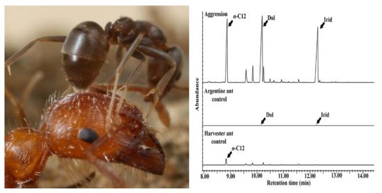 argentine ant aggression paper image