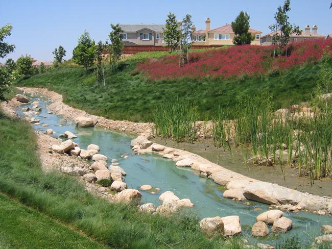 Constructed waterway to capture and filter irrigation runoff.