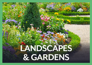 Landscape and Gardens - photo of a garden and landscaping