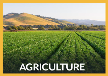 Agriculture - Photo of a farm field.