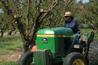 Tony Cristler mowing, March 2010.