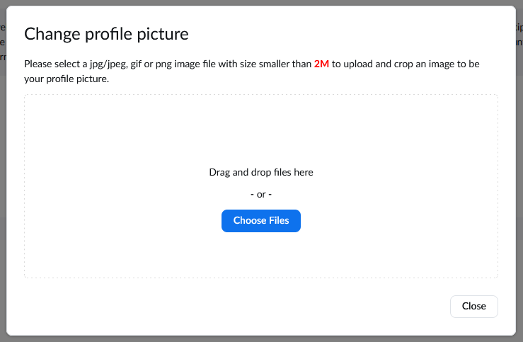 Change Zoom profile image - drag and drop